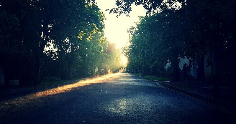 Road bathed in warm golden hour light at sunset