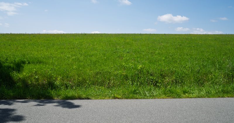 Country road under harsh flat midday sunlight